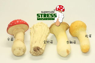 仿真小蘑菇 自然疗愈与个性减压的完美结合